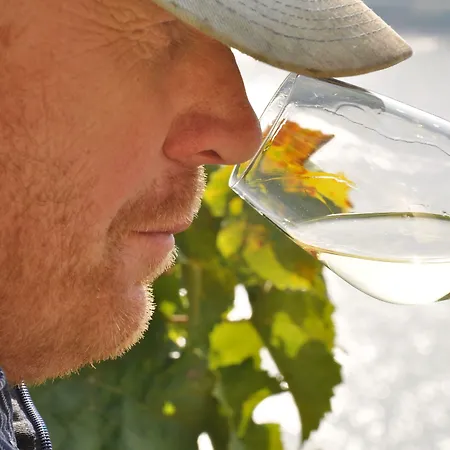 Weinhotel Landsknecht 3* Санкт-Гоар