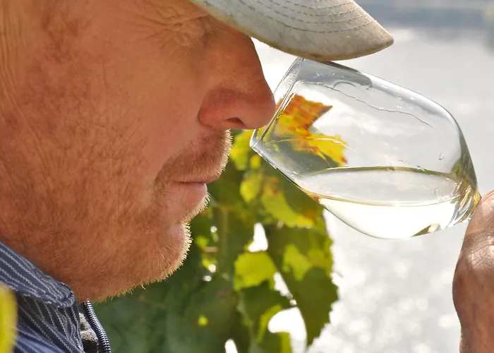 Weinhotel Landsknecht 3* Sankt Goar