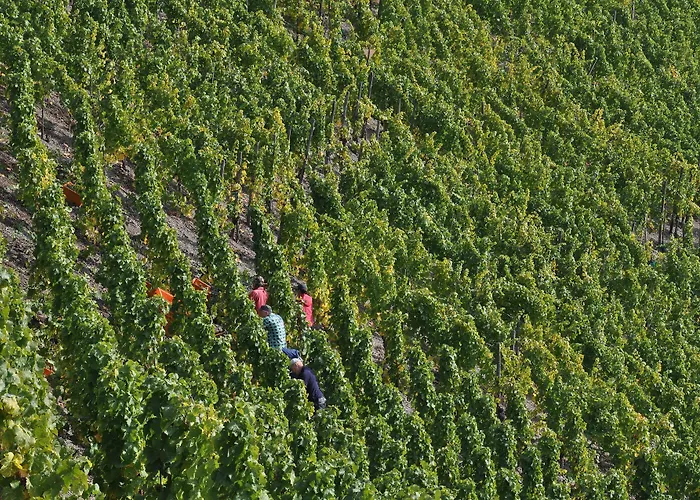 Weinhotel Landsknecht Sankt Goar