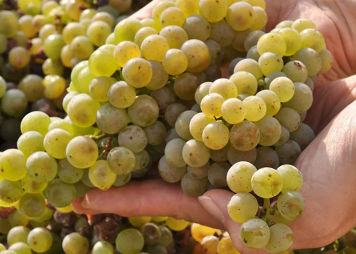 Weinhotel Landsknecht Hotel