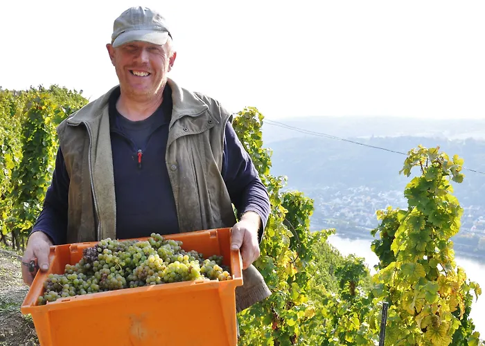 Weinhotel Landsknecht Hotel Sankt Goar